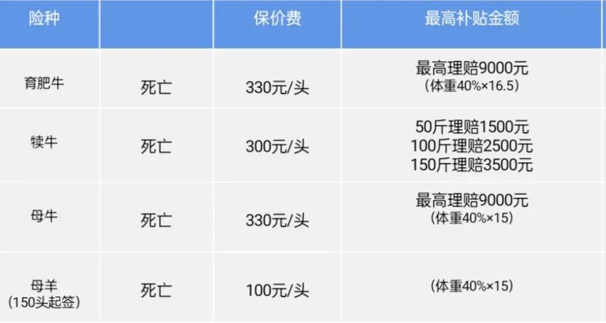 广西生猪保险赔付标准？（广西生猪出栏指标）