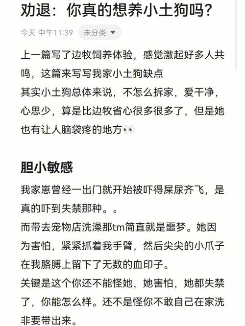 挂了七门课。才大二，被学校劝退，怎么办？（厦门养狗劝退）