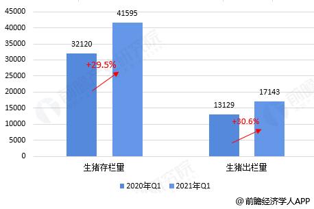 2021年生猪下半年存栏量？（目前生猪存栏）