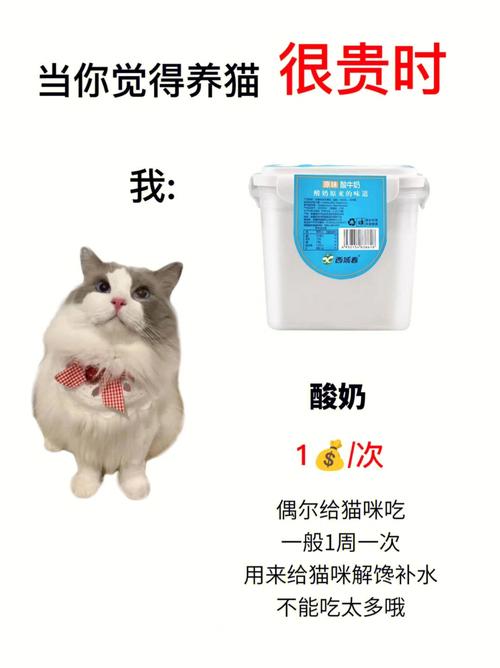 猫可以喝含白砂糖的酸奶吗？（养猫能吃白糖吗吗）