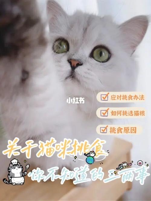 2个月小猫挑食不吃猫粮怎么办？（小猫太瘦怎么养猫）