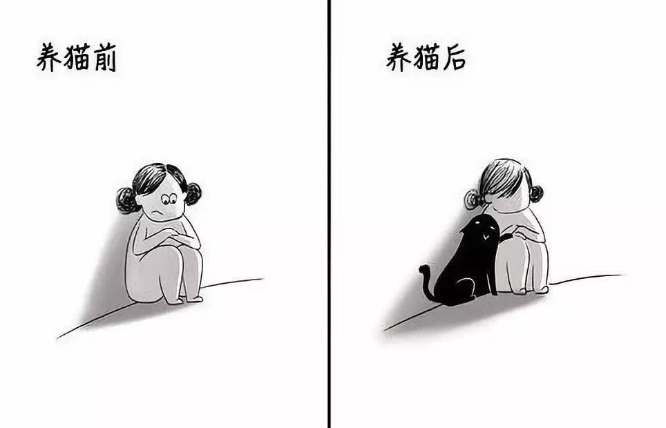 单身女性为什么喜欢养猫？（美女养猫前后对比图片）