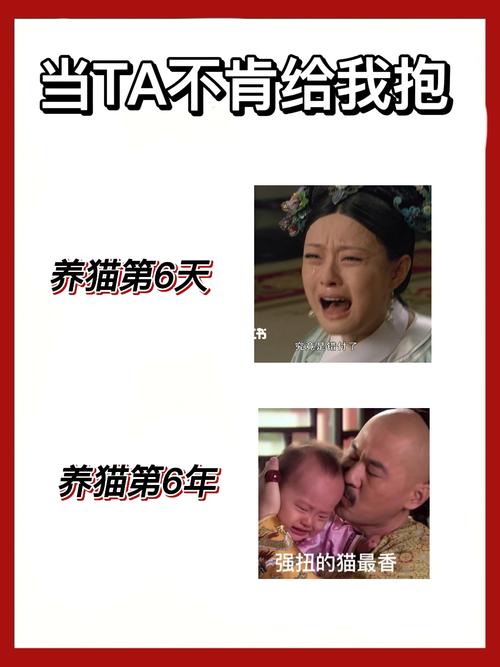 甄嬛为什么最后养猫？（我妈当初说别养猫）