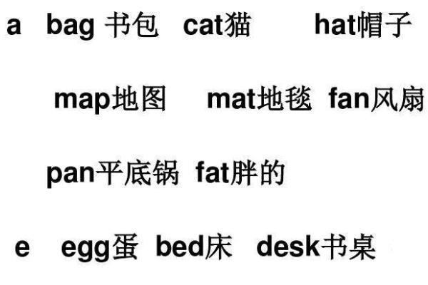 cat的音标？（你们怎么养猫咪英文）