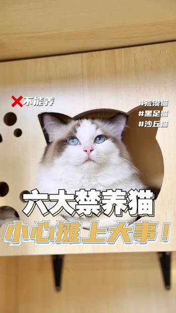 学校可以养猫吗？（校园内禁止养猫）