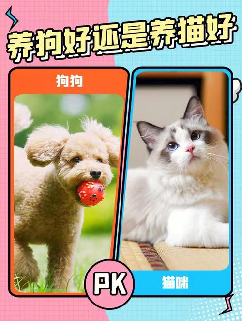 养狗和养猫哪个成本高？（养猫要哪些费用呢）