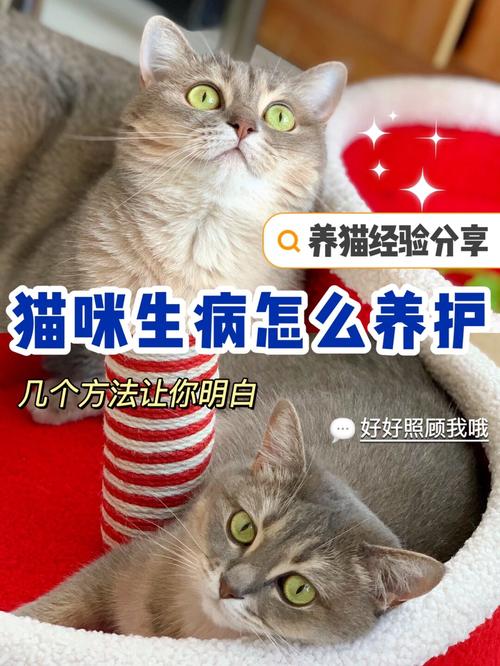 家里有病人，不能养猫吗？（自从养猫孩子总是生病）