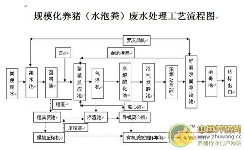 水泡牛粪发酵方法？（生猪养殖水泡粪）