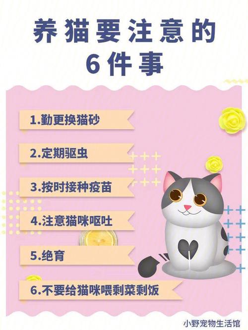 养猫注意什么？（养猫注意什么防疫方式）