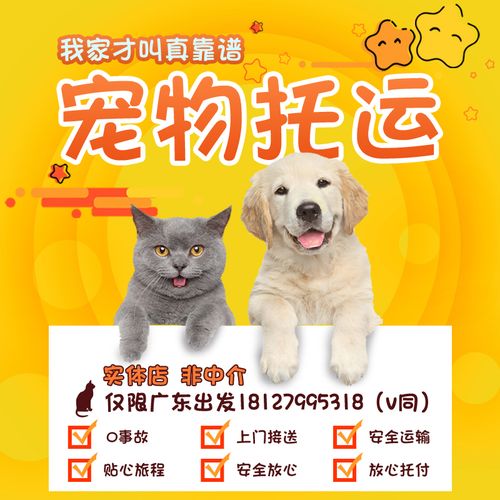 保定到昆明宠物托运多久？（昆明爱心收养猫狗）