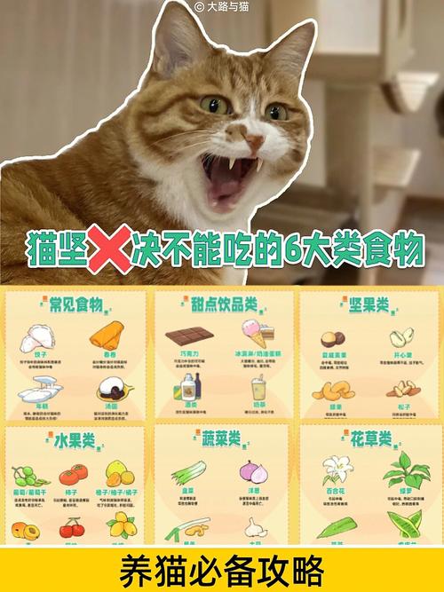 猫咪不能吃的食物有哪些？（养猫可以煮咖啡吗）