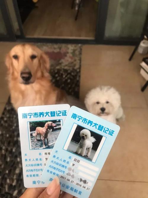 养犬登记办证率低的原因？（海南养狗）