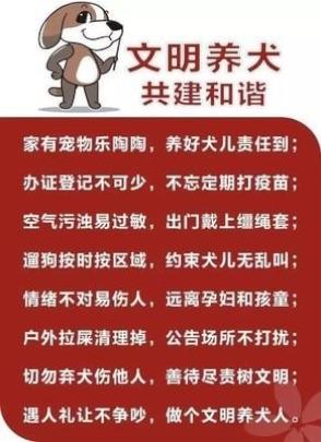 民法典规定的文明养犬内容？（请养狗的主人们文明养狗）