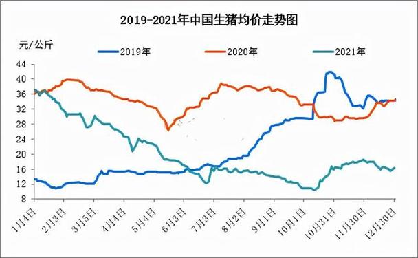 2023年到2024年养鸡前景如何？（生猪的行情预测）