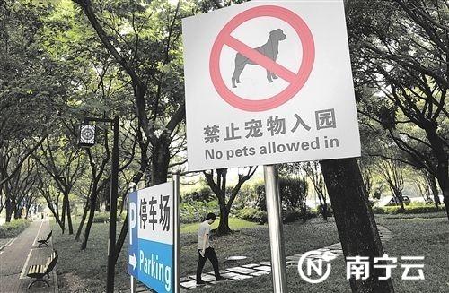 城市没证可以遛狗吗？（城市啥狗不准养狗）