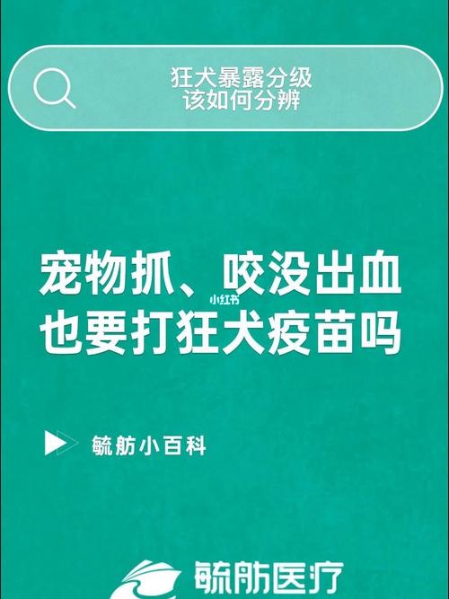 为什么以前养猫养狗从不打针？（养狗不给狗打疫苗）