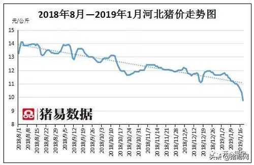 2018年河北省粮食总产量？（2018河北生猪行情）