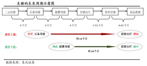 隆优1988禾种全生育期？（海南生猪生长周期）