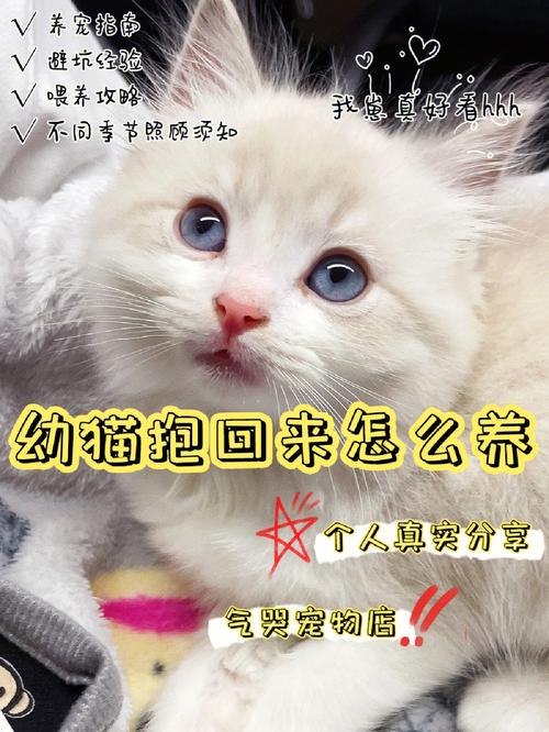 养猫好不好?懒人适合养猫还是狗?猫有什么疾病需要注意?怎么样才能让猫不生病?谢谢了，大神帮忙啊？（养猫适合懒人吗男生）