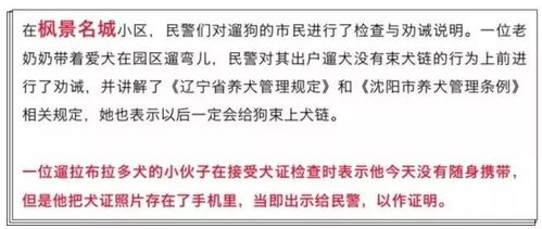 沈阳养狗需要办狗证吗不办可不可以要办去哪办啊？（违规养狗沈阳）