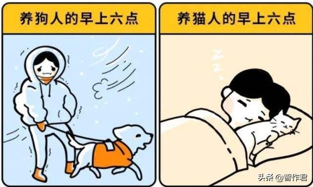 我们小区不让养狗了，还会有打狗队，怎么办？（禁止养猫狗的小区）