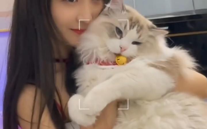 为什么很多女生喜欢猫？（成都女人养猫视频大全）