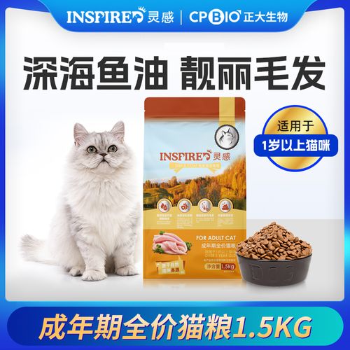 沧州正大生物猫粮怎么样？（沧州在哪领养猫猫）