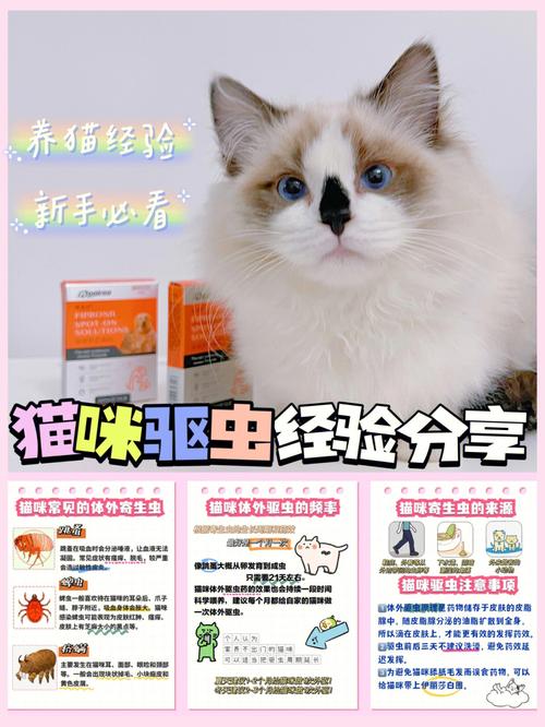 20多天的小猫能驱跳蚤吗？（养猫环境消毒驱虫多久）