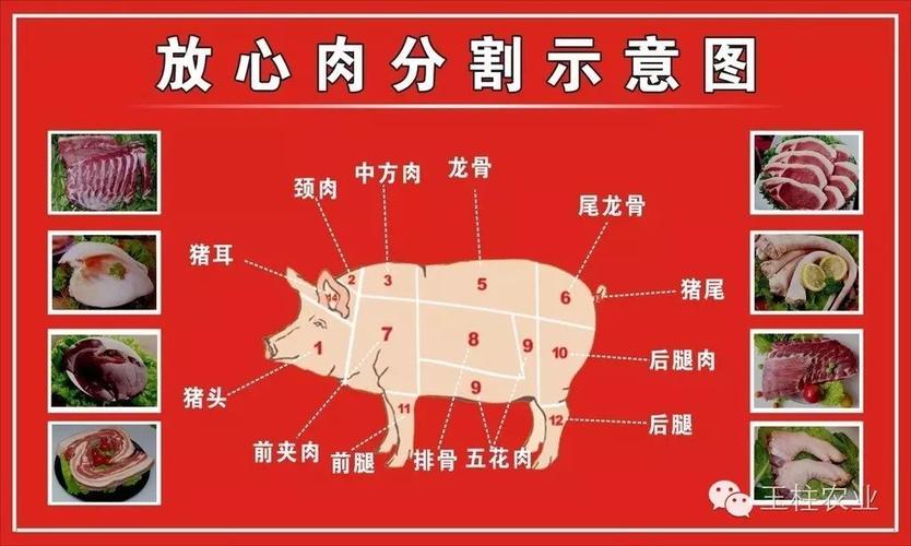 杀猪怎么分解猪肉？（生猪分解及名）