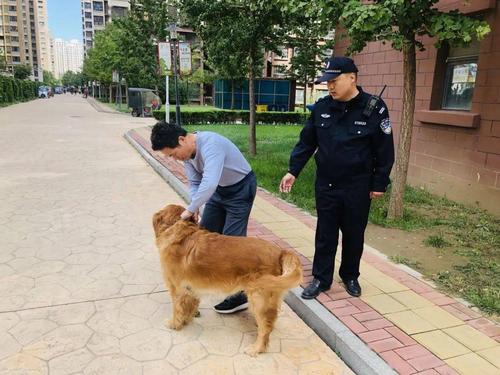 小区能养大型犬吗？（社区楼房养狗）