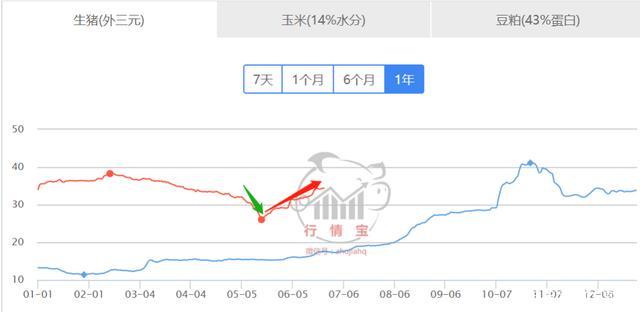生猪期货怎么看？（期货生猪行情预测）