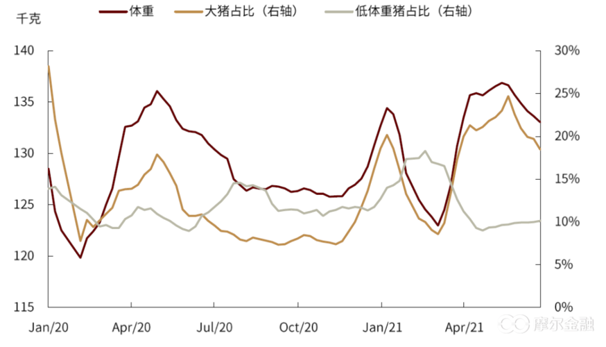 全世界每年杀猪数量数据？（生猪出栏中国世界）