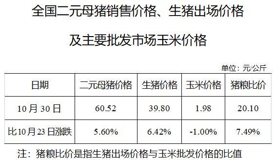 菏泽曹县有什么好吃的？（生猪行情走势曹县）