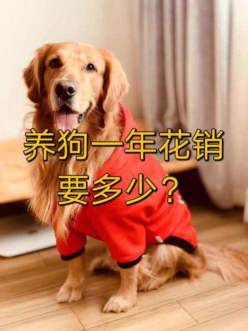 发展宠物犬养殖前景如何？（代养狗价格）