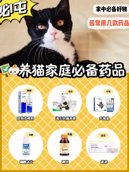 养猫必备三种药？（养猫时必备什么药）