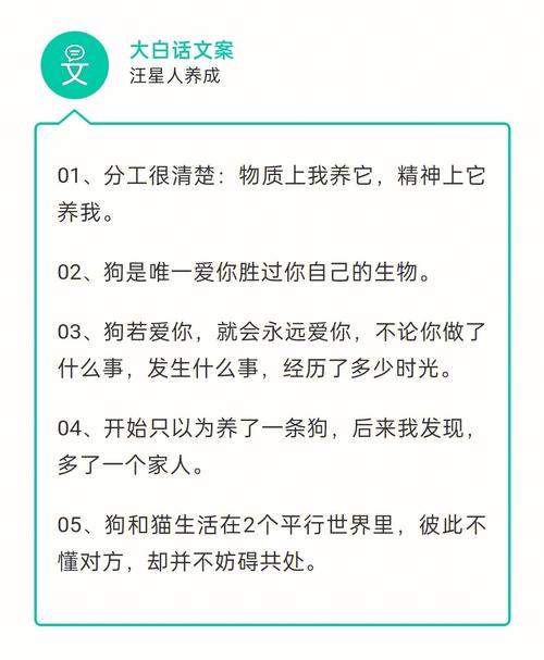 小朋友想养猫的文案？（新手养猫的文案搞笑）