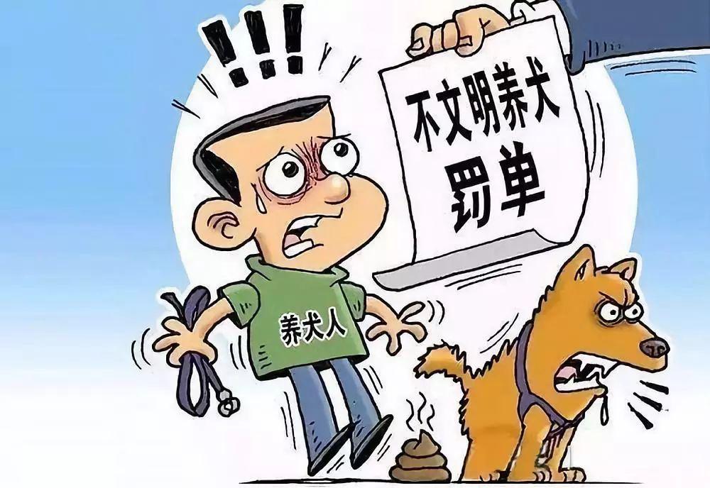 当因为养狗产生家庭矛盾怎么办？（养狗生活矛盾）