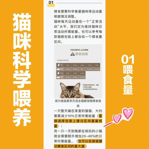 科学养猫什么意思？（科学养猫技术大全）