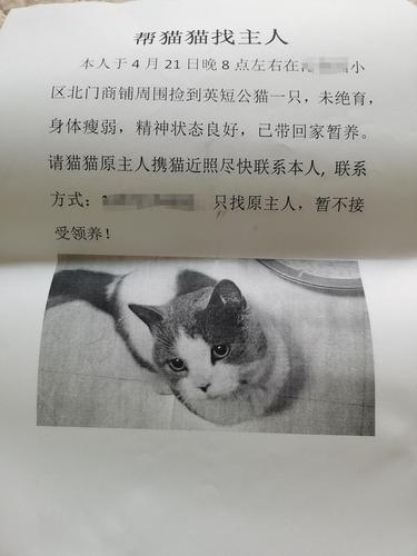 无偿收养猫咪文案？（领养猫诚意介绍语）