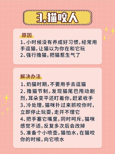 人工养猫的正确方法？（今日头条怎么养猫）