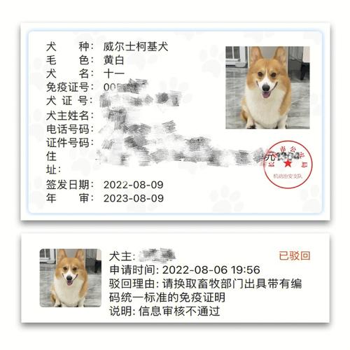 长春市金毛犬可以办狗证吗？（养狗吗长春）