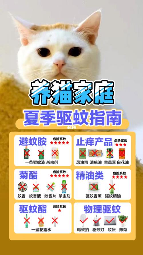 养猫家庭如何正确驱蚊？（养猫咪如何去驱蚊）