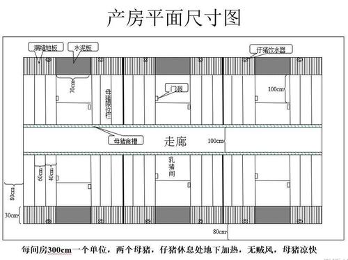 怎么规划一个养猪的具体方案？（生猪生产规划）