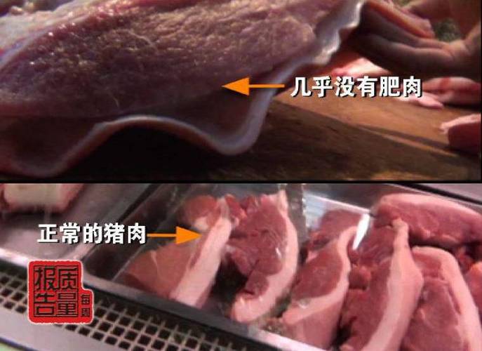 长春，肉食狗肉多少钱一斤。平均市场价格就可以？（长春生猪的价格）