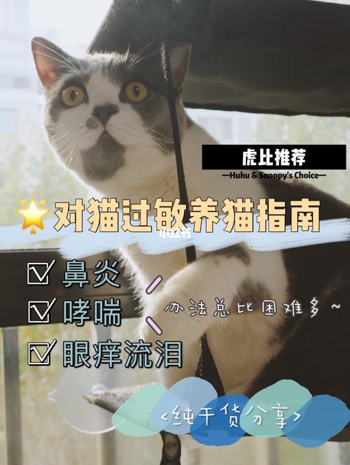 养猫会引起什么样的疾病?跟鼻炎、慢性支气管炎有关联吗？（养猫 过敏性鼻炎）