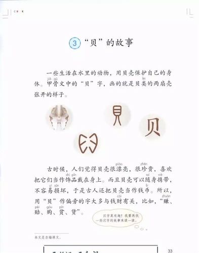 贝的故事40个字？（海中金命养猫好吗）