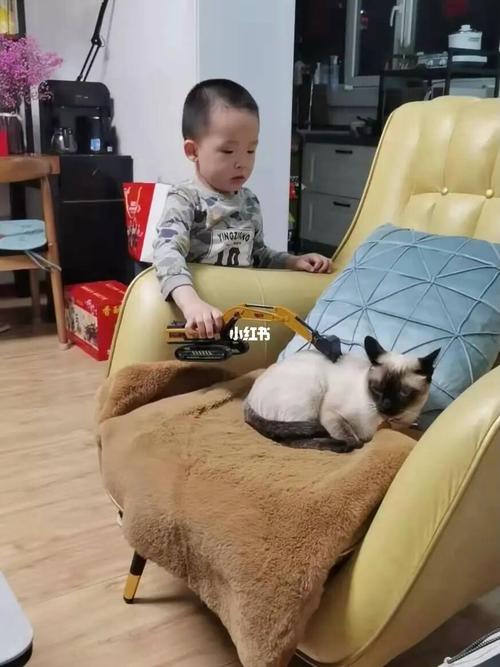 小孩子可以养猫吗？（孩子还能养猫吗现在）