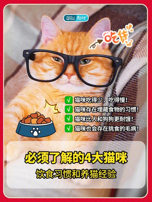 养猫喂什么食物比较好？（养猫需要吃啥食物）