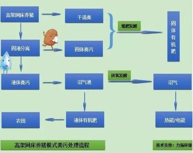 简述死猪包裹流程？（生猪高架床怎么安装）