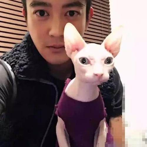 明星养的宠物都叫什么名啊？（明星养狗养猫图片）